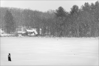 Beaver-Pond-Decay-in-Snow-Fall_Raphael-Swift.jpg