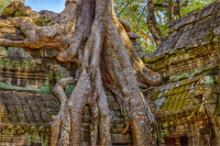 Angkor_2_by_Bert_Schmitz.jpg